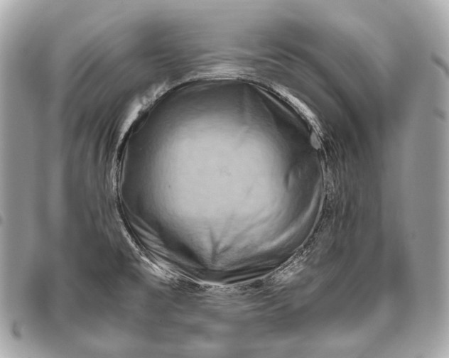 X0000096441477200802071737