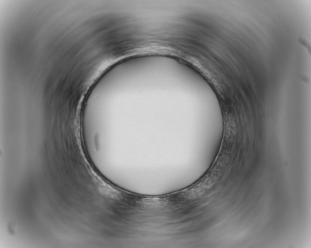 X0000096441478200802071737