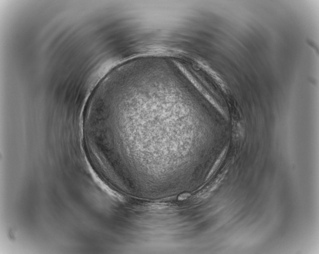 X0000096441479200802071737