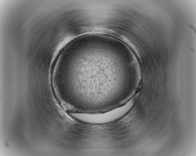 X0000096441480200802071737