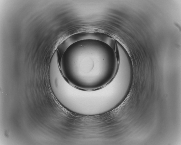 X0000096441481200802071737