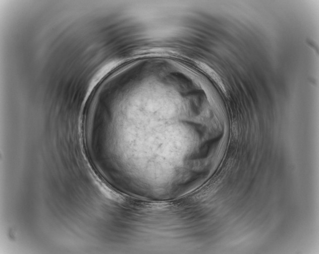 X0000096441482200802071737