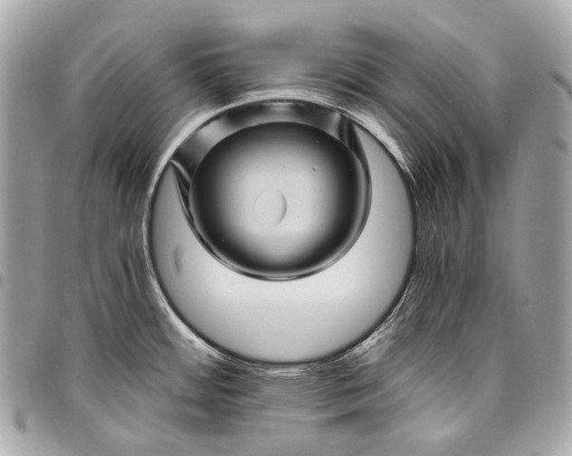 X0000096441484200802071737