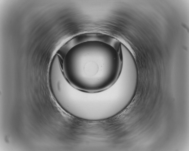 X0000096441485200802071737