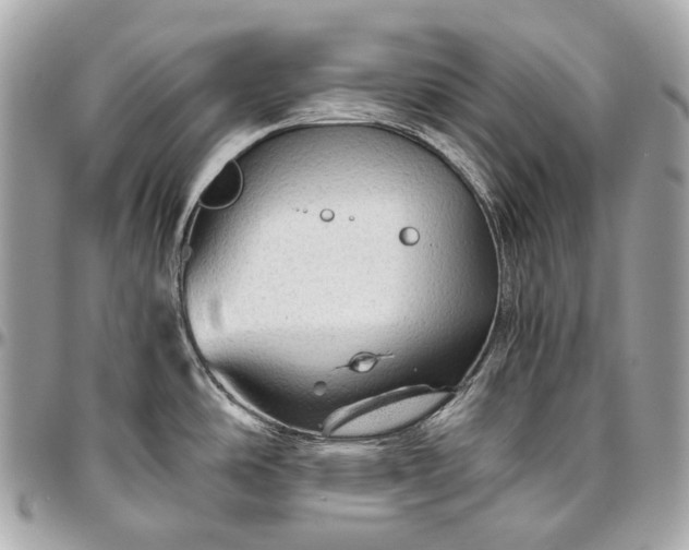 X0000096441486200802071737