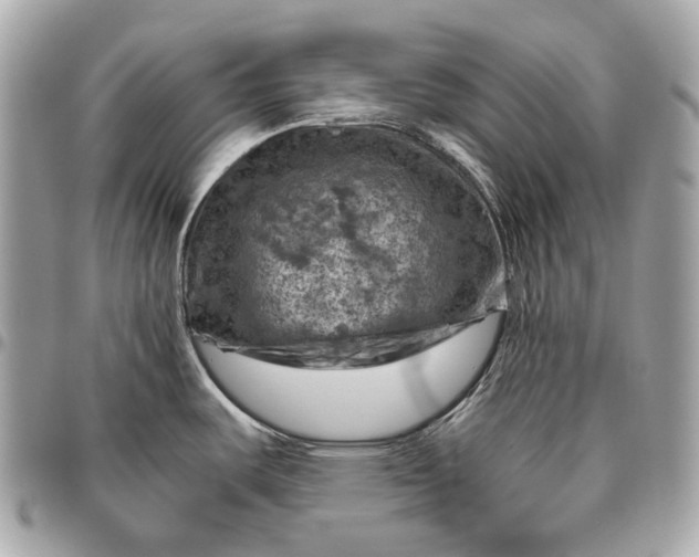 X0000096441487200802071737