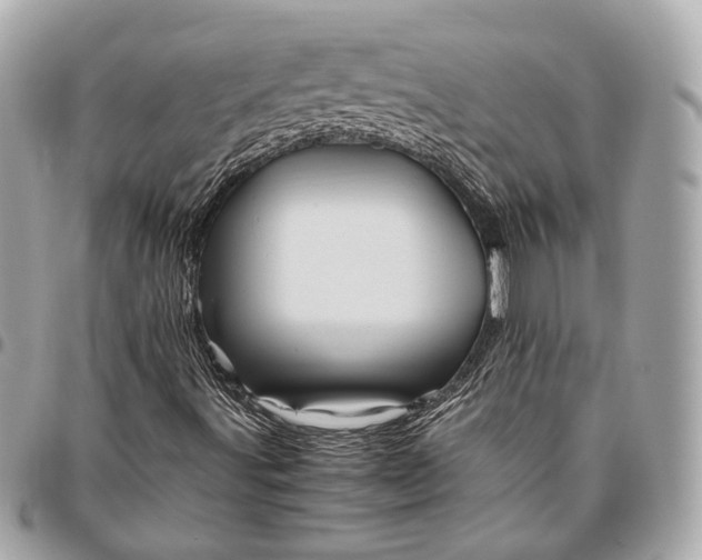 X0000096441491200802071736