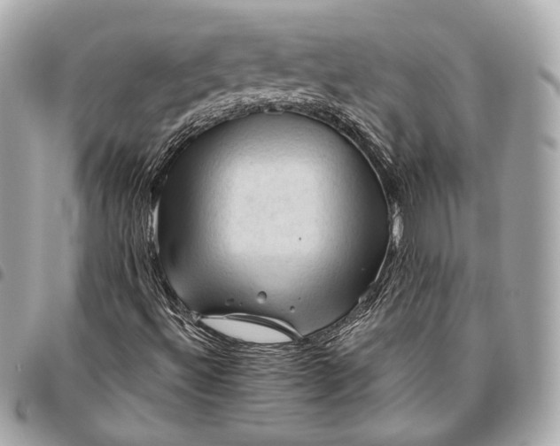 X0000096441492200802071736