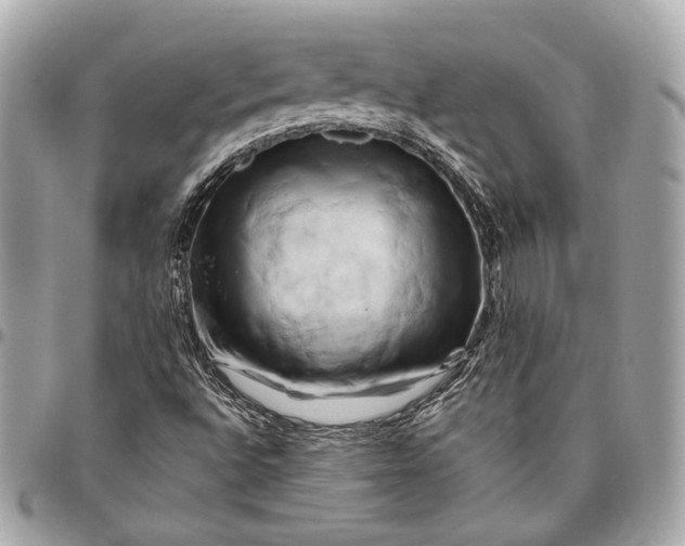 X0000096441496200802071736