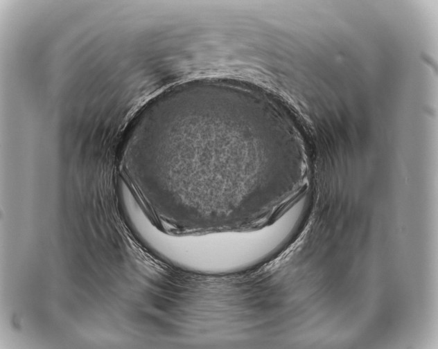 X0000096441497200802071736