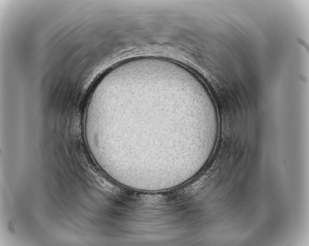 X0000096441498200802071736