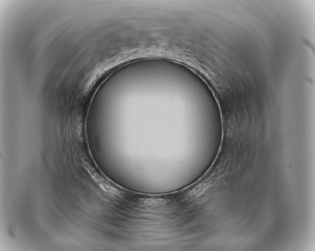 X0000096441499200802071736