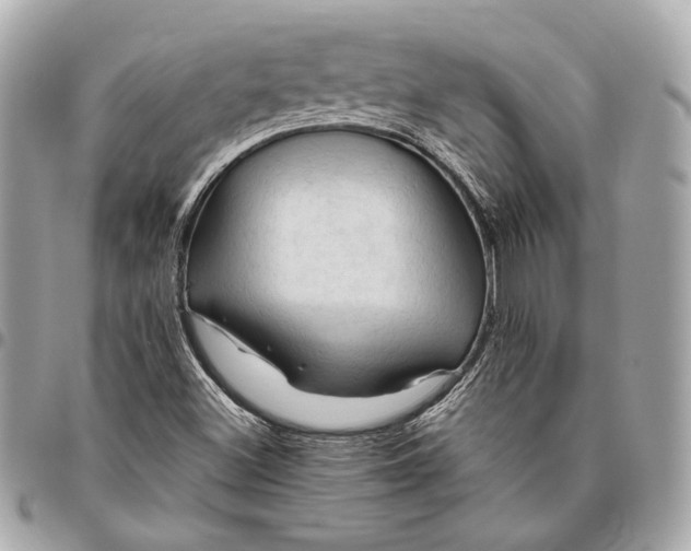 X0000096441500200802071736