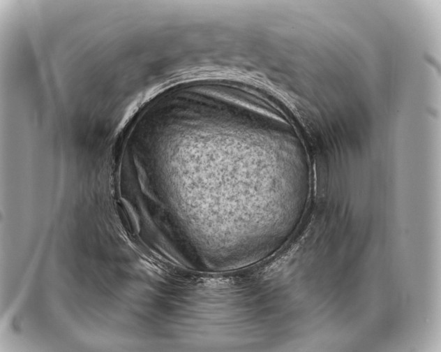 X0000096441501200802071736