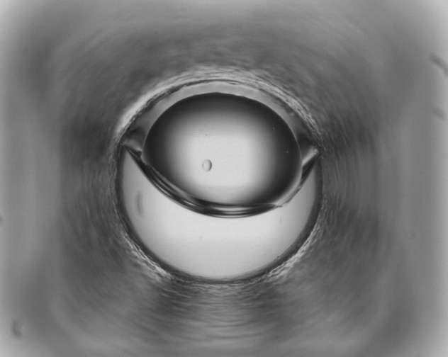 X0000096441502200802071736