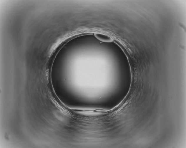 X0000096441503200802071736