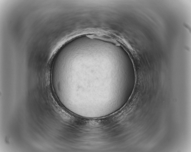 X0000096441504200802071736