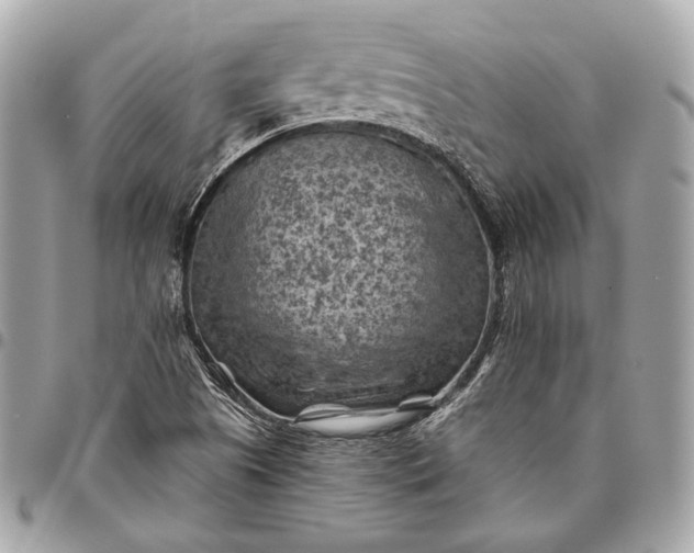 X0000096441505200802071736