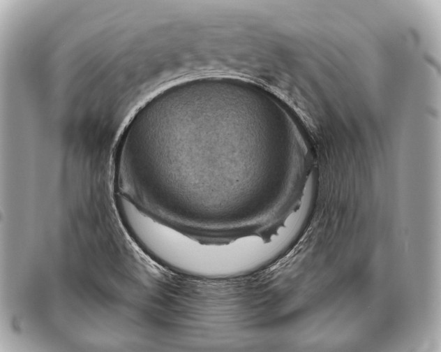 X0000096441508200802071736