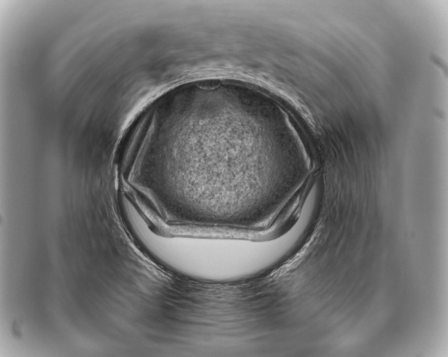 X0000096441509200802071736