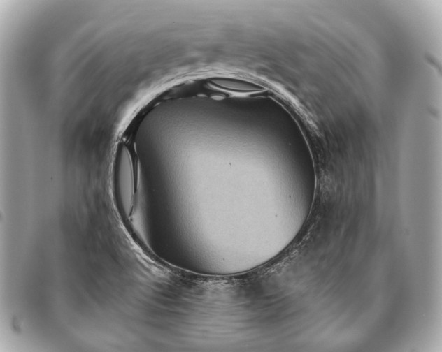 X0000096441512200802071736