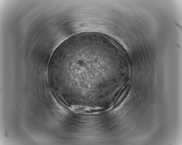 X0000096441513200802071736