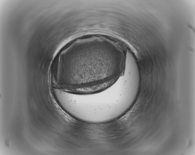 X0000096441514200802071736