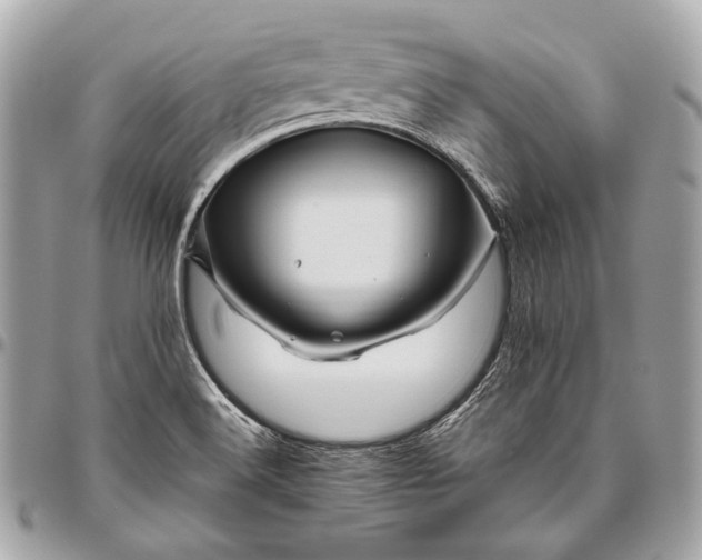 X0000096441516200802071736