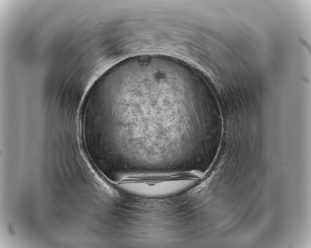 X0000096441517200802071736