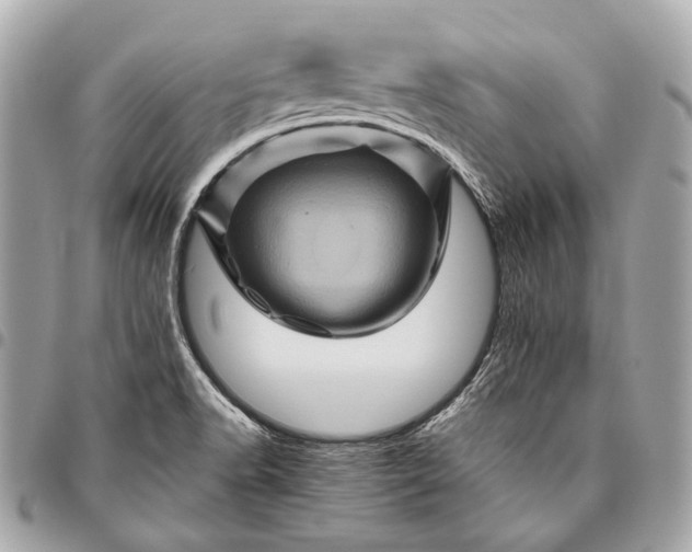 X0000096441518200802071736