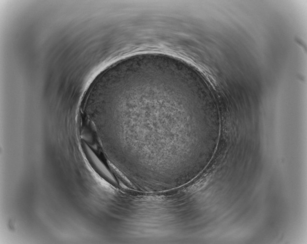 X0000096441519200802071736