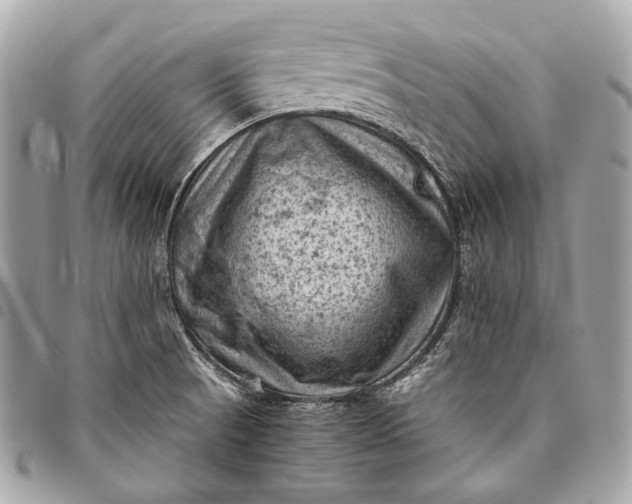 X0000096441521200802071736