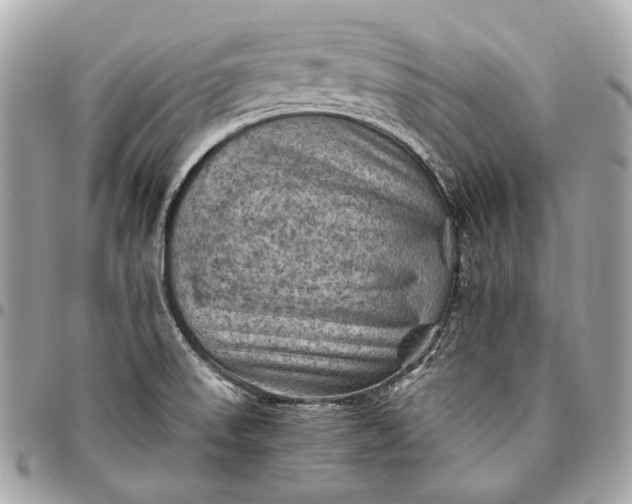 X0000096441523200802071736