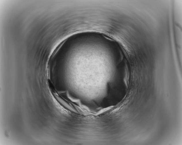 X0000096441524200802071736