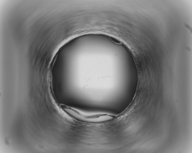 X0000096441526200802071736