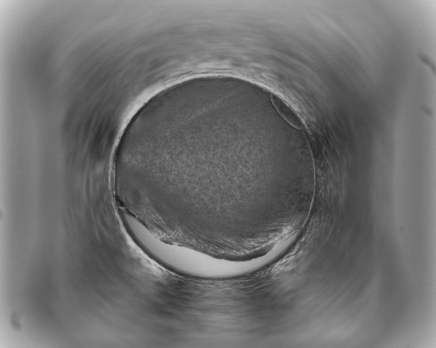 X0000096441527200802071736