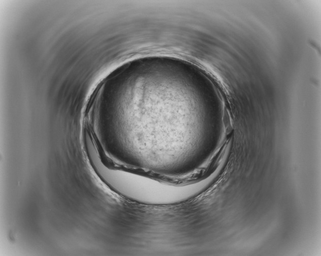 X0000096441528200802071736