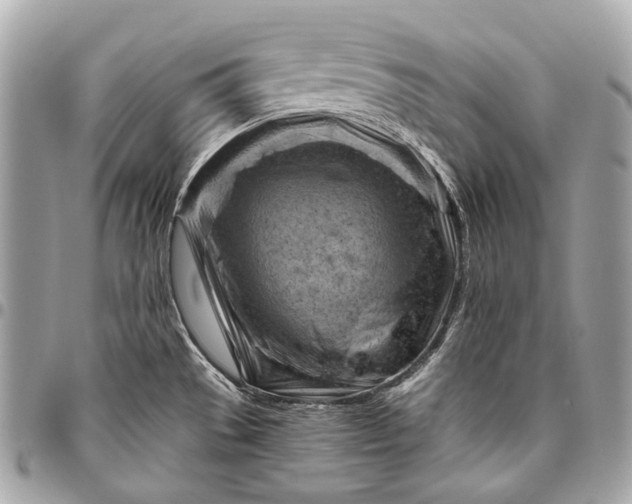 X0000096441529200802071736