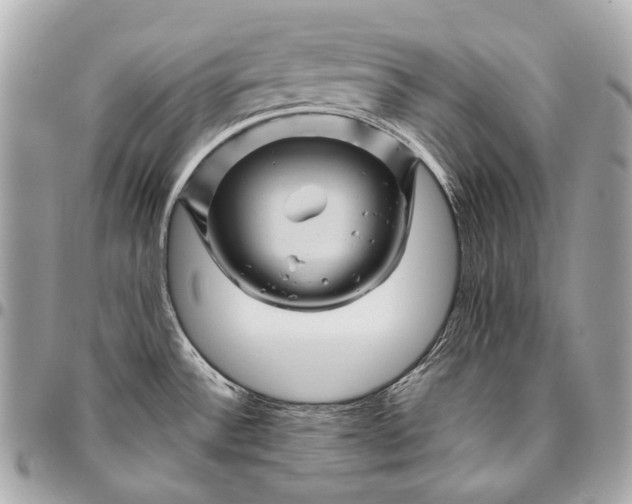 X0000096441532200802071736