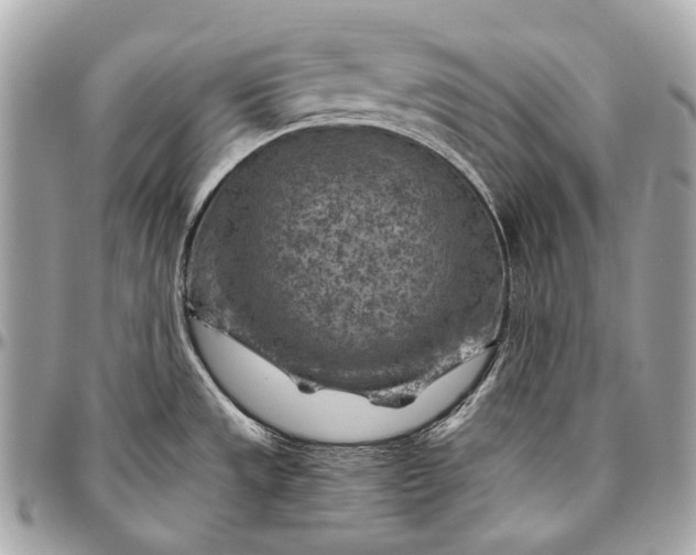 X0000096441533200802071736