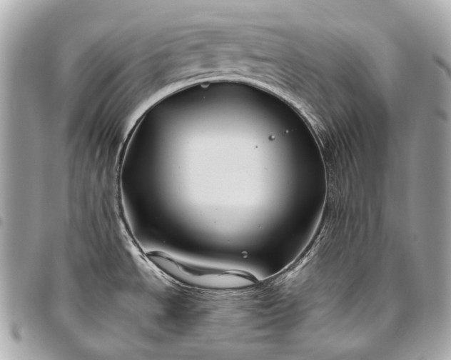 X0000096441534200802071736