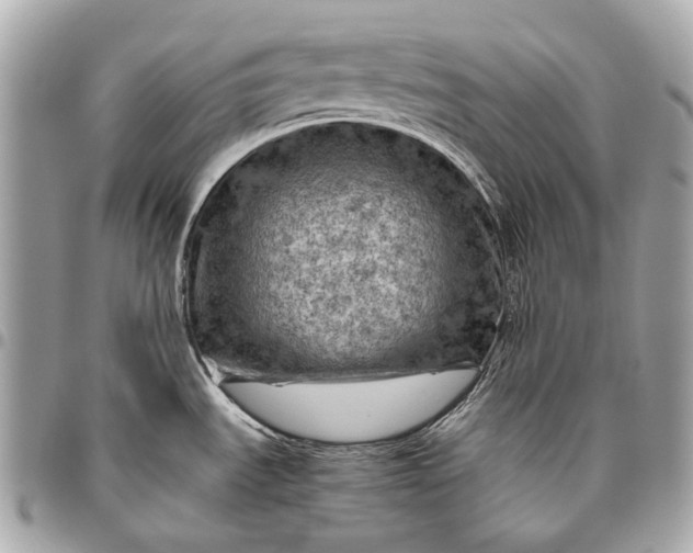 X0000096441535200802071737