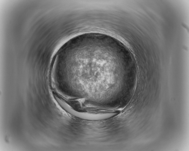 X0000096441536200802071737