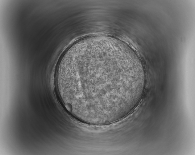 X0000096440002200802141501