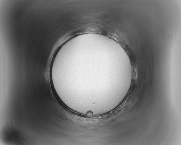 X0000096440004200802141501