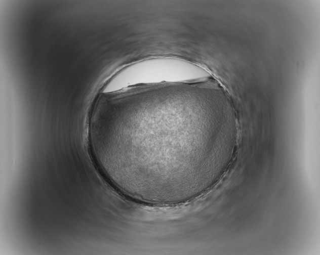 X0000096440005200802141501