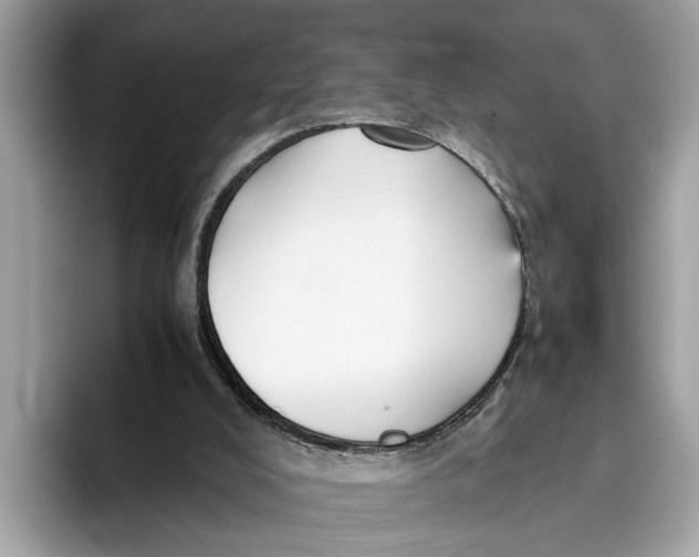 X0000096440008200802141501