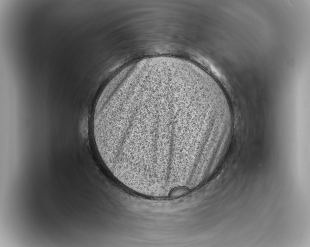 X0000096440010200802141501