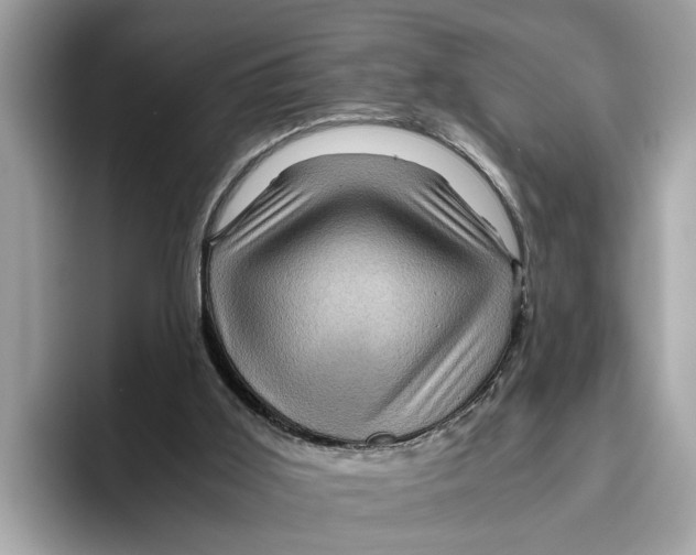 X0000096440011200802141501