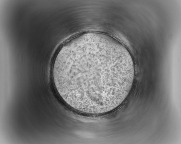 X0000096440012200802141501